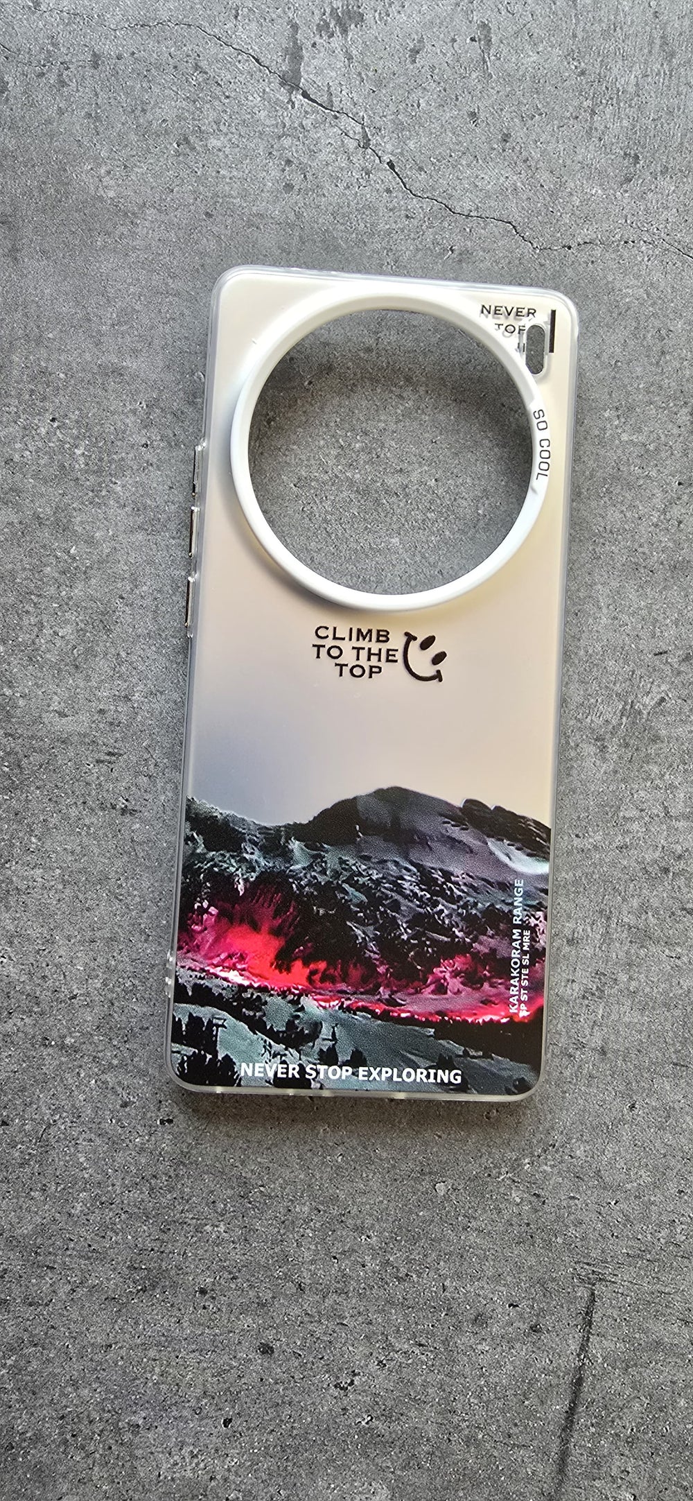 Printed Iridescent Slim PC & Silicone Edge Cover with Camera Lens Protector Solid Color for Vivo X100 - Silver