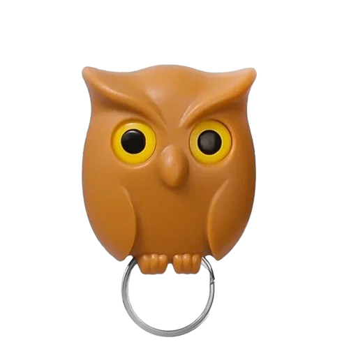 Brown Cute Magnetic Owl Key Holder