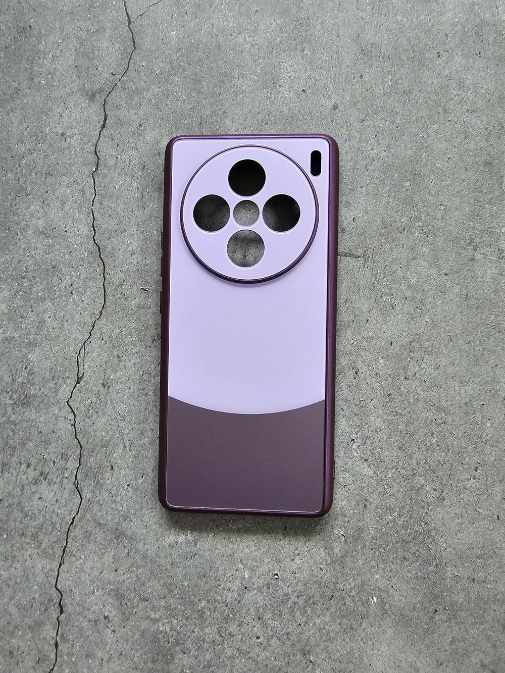 Purple Hard Rigid Plastic Matte Finish Case Back Cover for Vivo X100