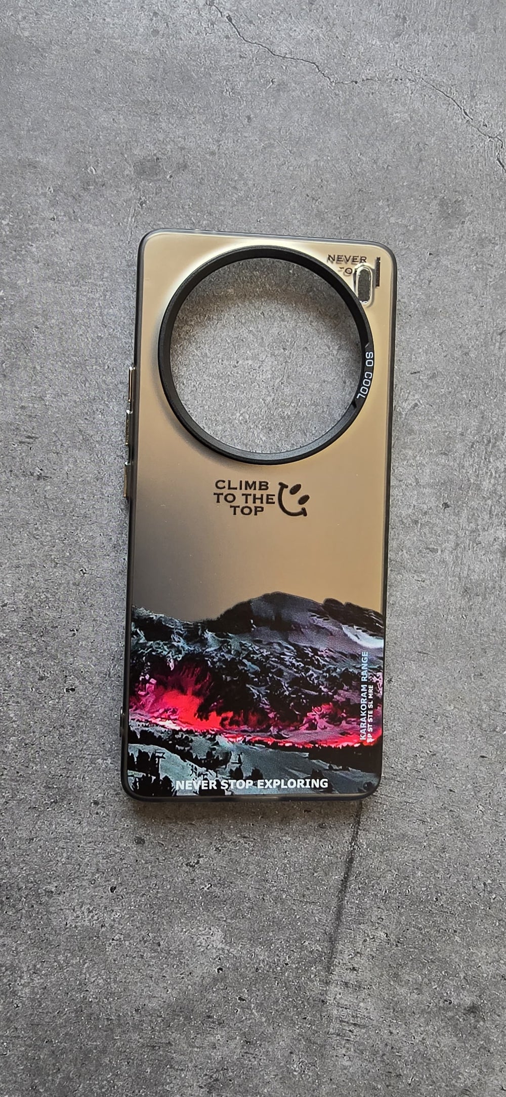 Printed Iridescent Slim PC & Silicone Edge Cover with Camera Lens Protector Solid Color for Vivo X100 PRO - Black